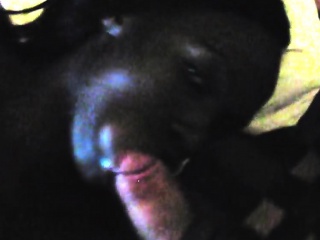 African Slut Enjoys blowing Long White Schlong