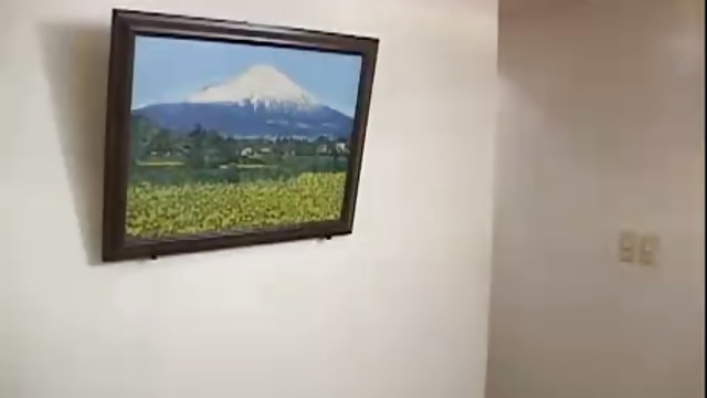 Japanese double penetration