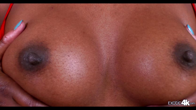 Sexy ebony Armani Monae deals with a big dick